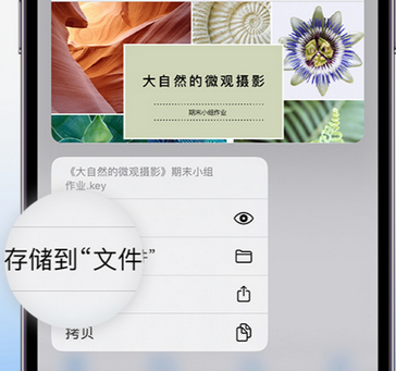 江油apple维修中心分享iPhone文件应用中存储和找到下载文件