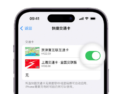 江油apple维修点分享iPhone上更换Apple Pay快捷交通卡手绘卡面 