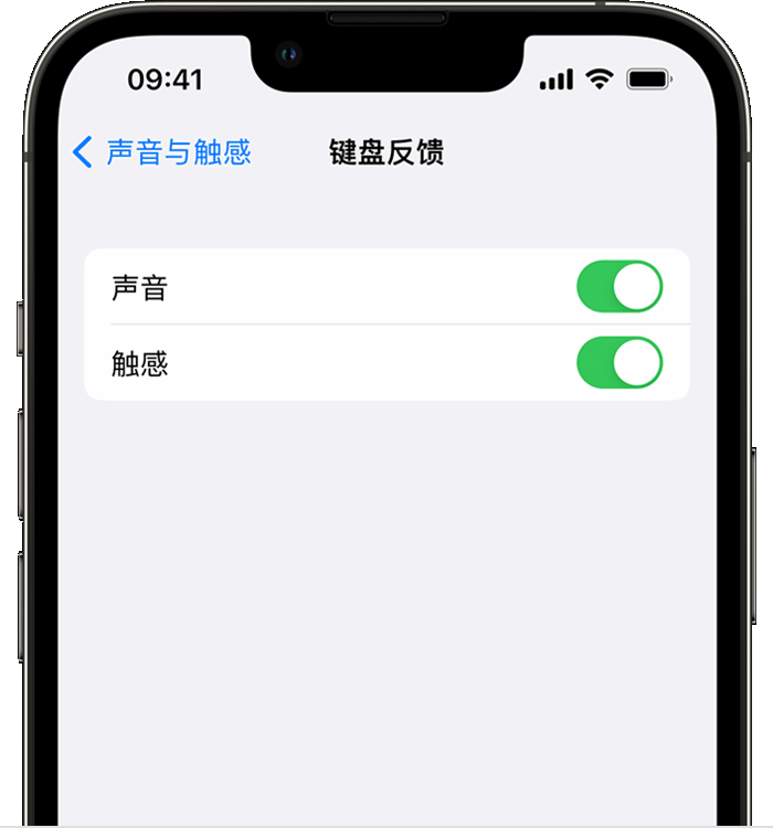 江油苹果14维修店分享如何在 iPhone 14 机型中使用触感键盘 