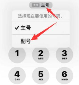 江油苹果14维修店分享iPhone 14 Pro Max使用副卡打电话的方法 