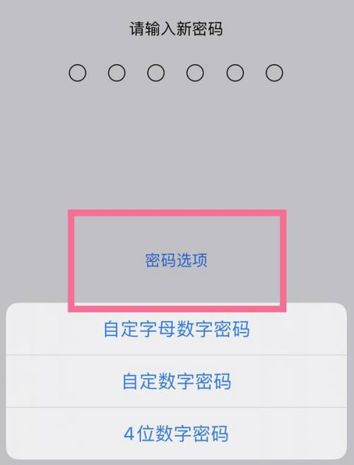 江油苹果14维修分享iPhone 14plus设置密码的方法 