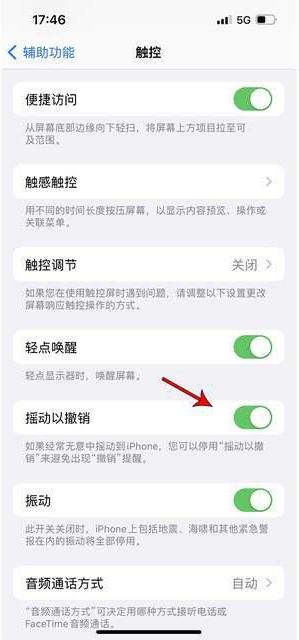 江油苹果手机维修分享iPhone手机如何设置摇一摇删除文字 